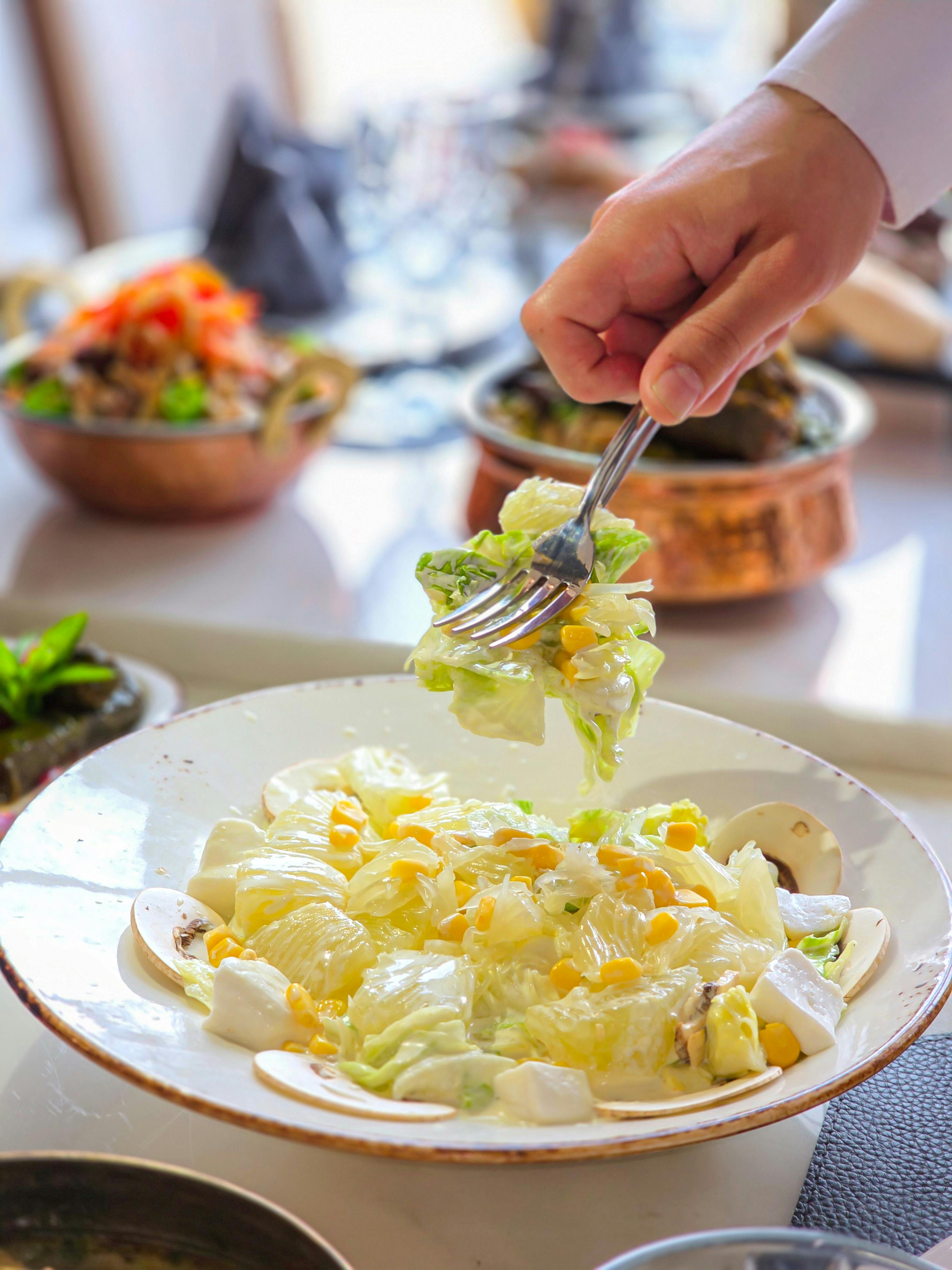 plant based sustainable diet