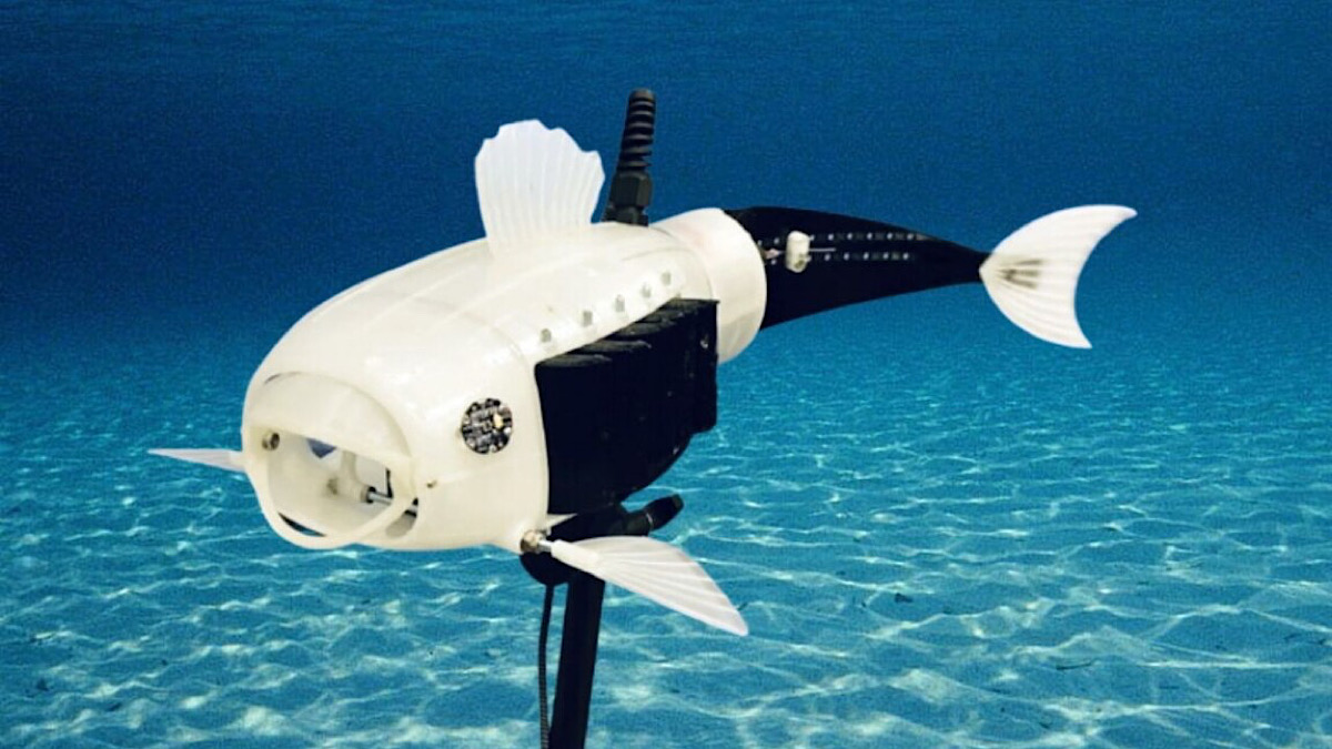 “Gillbert” the Robo-Fish: Student’s Microplastic-Eating Marvel Set to Revolutionize Water Cleanup