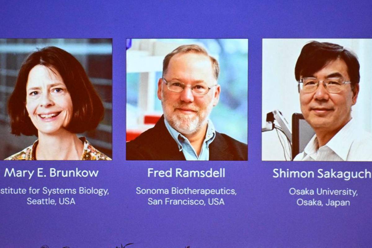 Medicine Nobel 2025 award winners